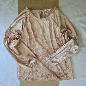 LC Lauren Conrad Soft Pink Velvet Top Size L Puff Sleeves Balletcore Cottagecore